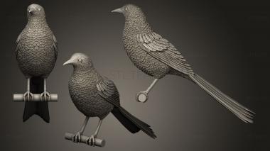 3D model Magpie (STL)